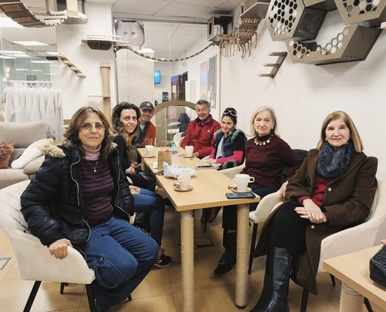 A group of people enjoying coffee and chatting inside a cozy cat café with cat furniture on the walls.