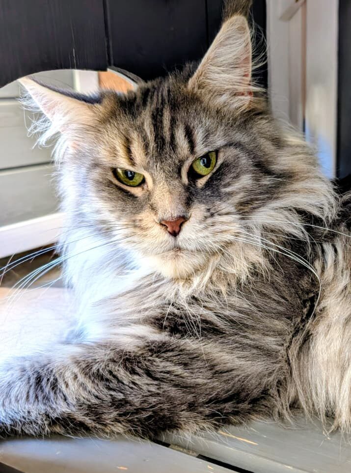 WhatsApp Image 2025-10-22 at 09.49