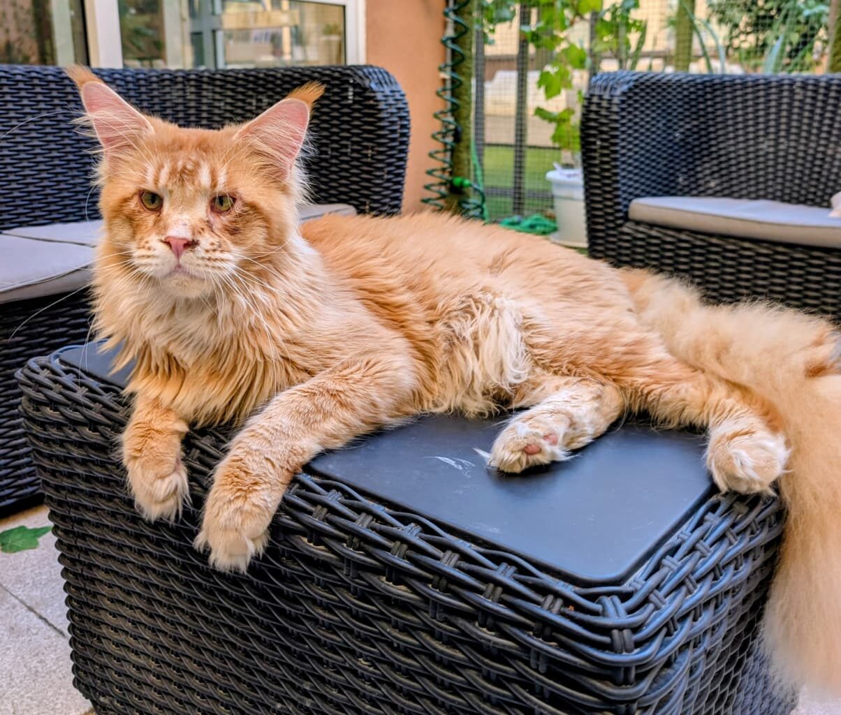 WhatsApp Image 2025-10-22 at 09.49