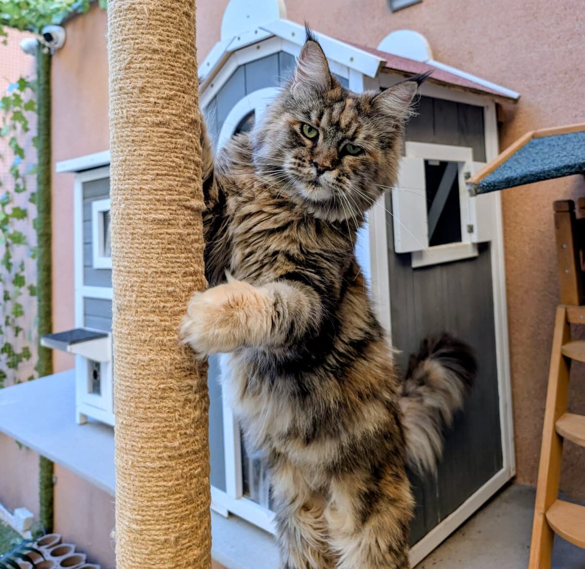 WhatsApp Image 2025-10-22 at 09.50