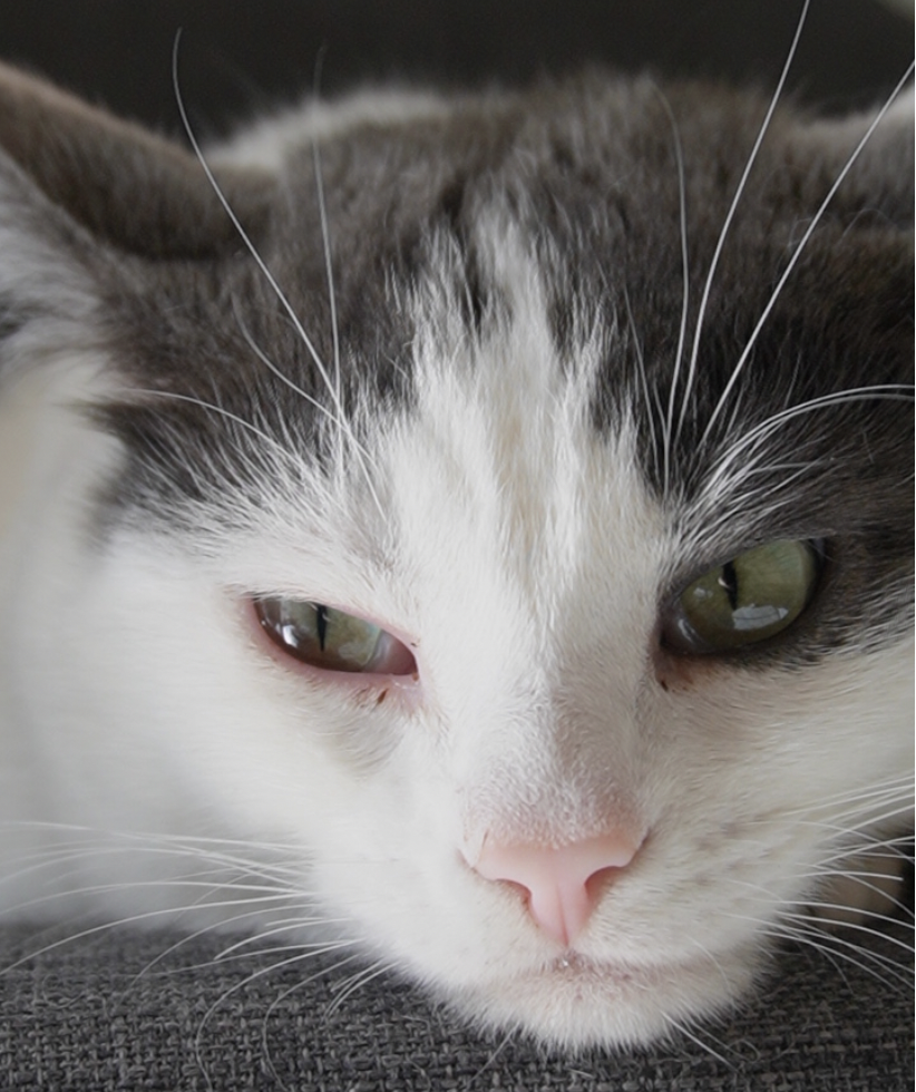 Screenshot 2025-12-07 at 3.00