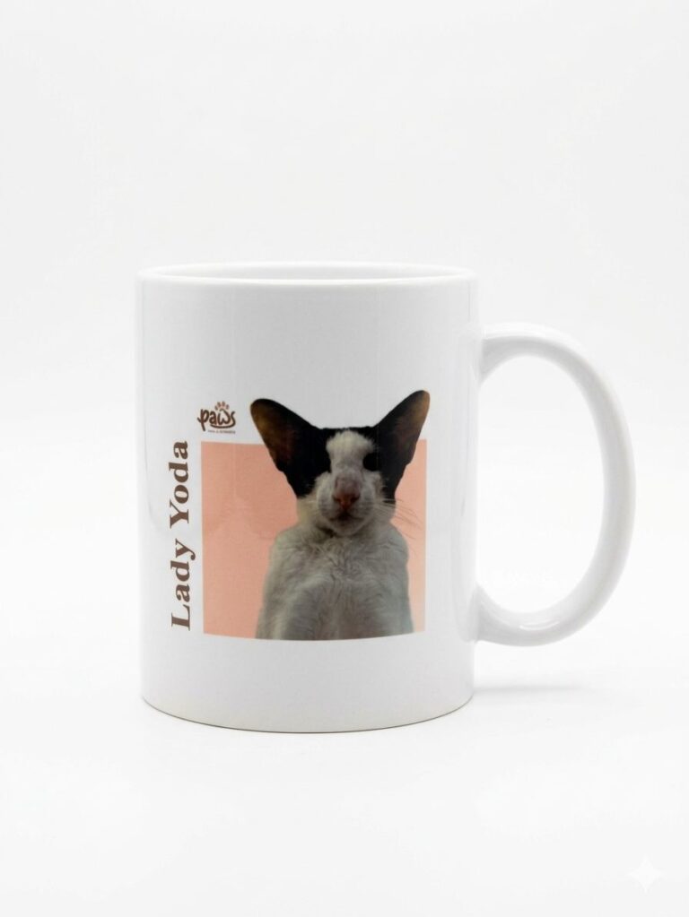 mug-1
