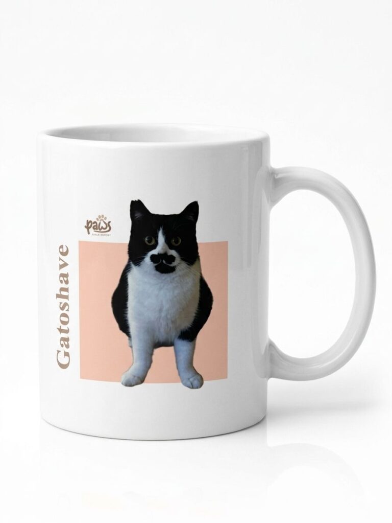 mug-4