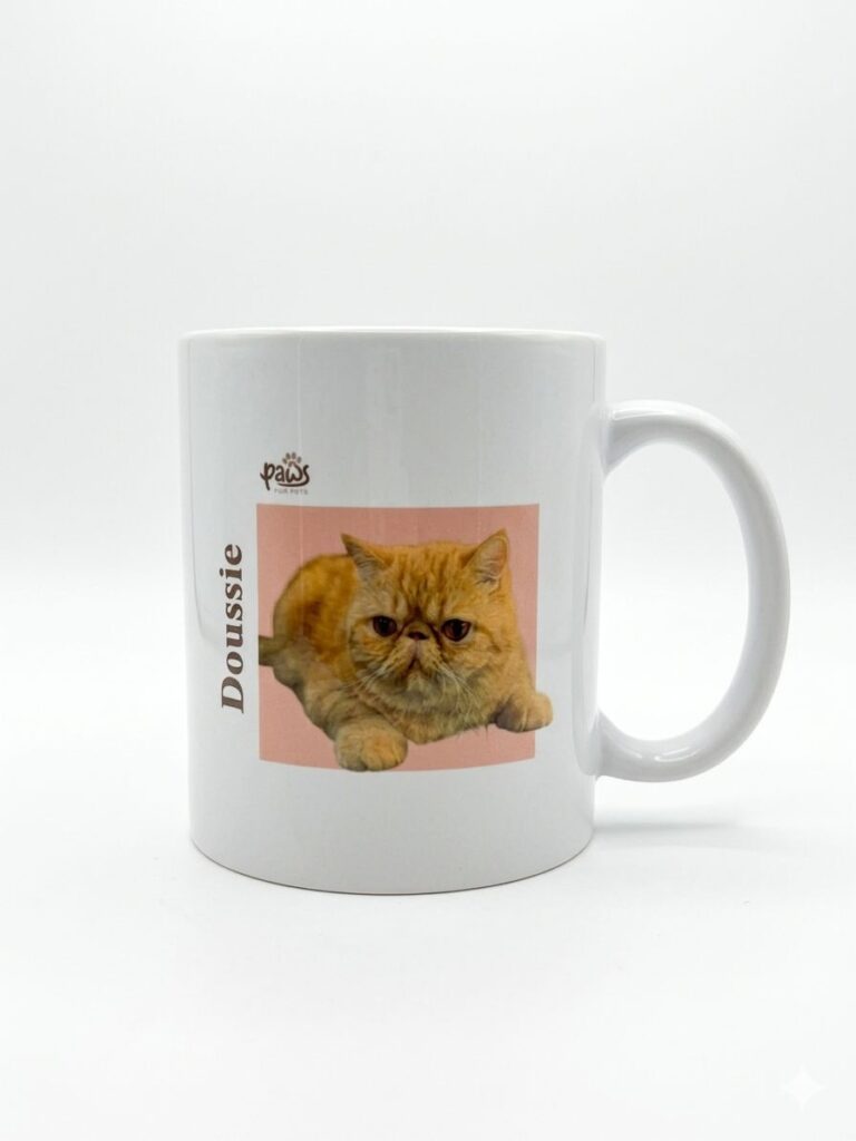 mug-5