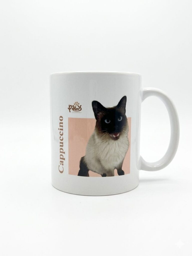 mug-6
