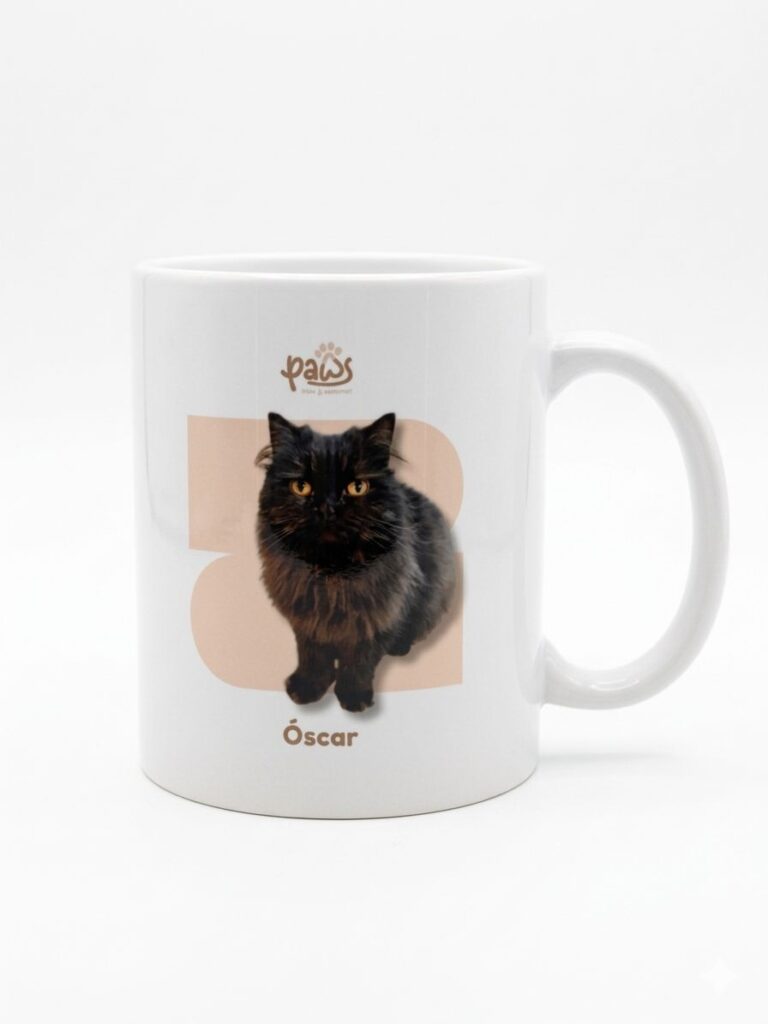 mug-9