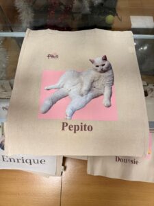 totebag-14