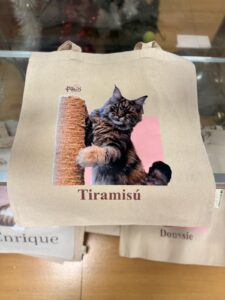 totebag-15