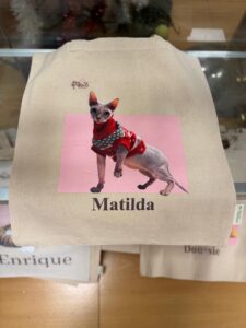 totebag-16