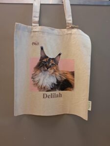 totebag-17