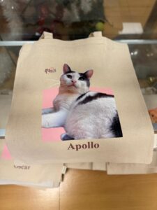 totebag-2