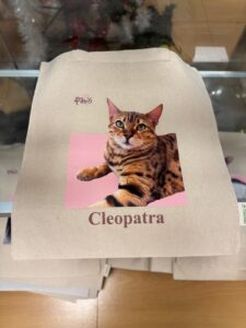 totebag-8
