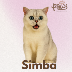 PAWS-Cat-Sticker2-12