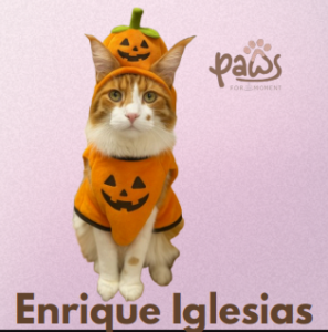 PAWS-Cat-Sticker4-58