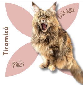 PAWS-Cat-Sticker7-14