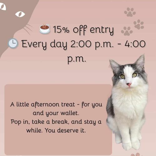 Promotional graphic from Paws for a Moment cat café showing a 15% off entry price every day from 2:00 p.m. to 4:00 p.m. The image features a white and gray cat, paw print graphics, and text inviting guests to take a break and enjoy a budget-friendly visit.