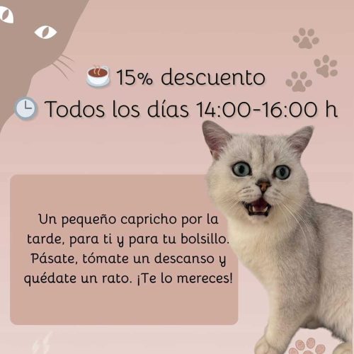 Promotional graphic from Paws for a Moment cat café showing a 15% off entry price every day from 2:00 p.m. to 4:00 p.m. The image features a white cat, paw print graphics, and text inviting guests to take a break and enjoy a budget-friendly visit.